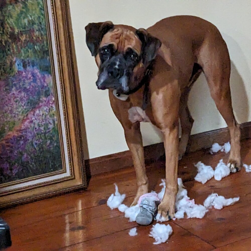 Meet your Posher, Kathleen